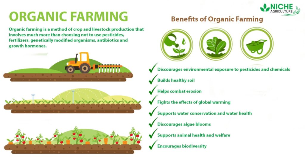 organic farming in india