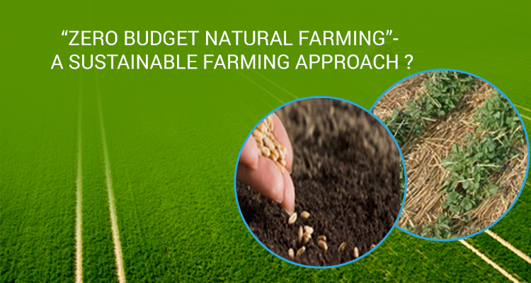 Zero budget natural farming