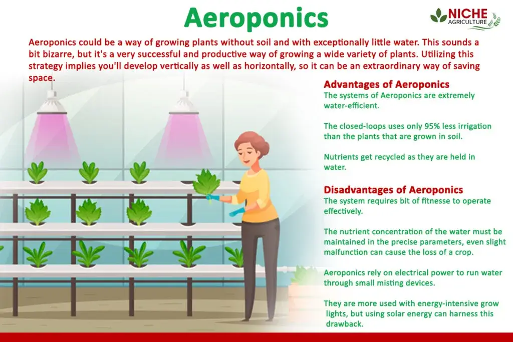 Aeroponics - effective for Sustainable Agriculture -