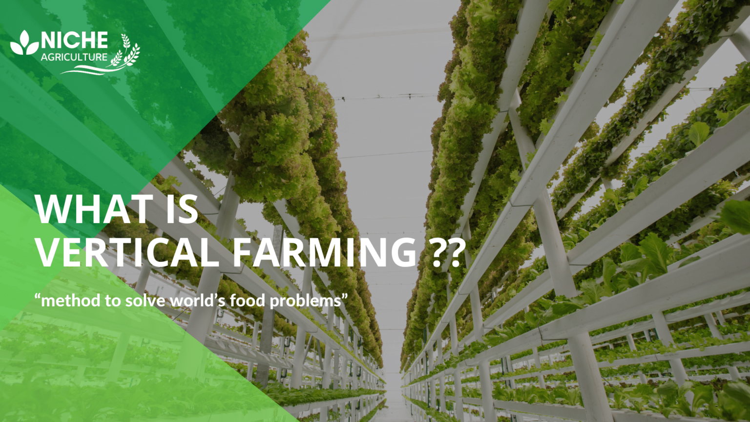 Vertical Farming Pros and cons Definition Niche Agriculture