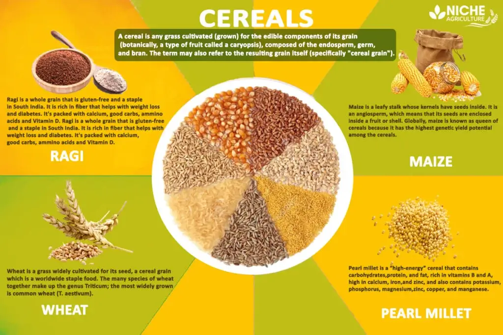 “Spice Up your Cereal”- Uses and Benefits