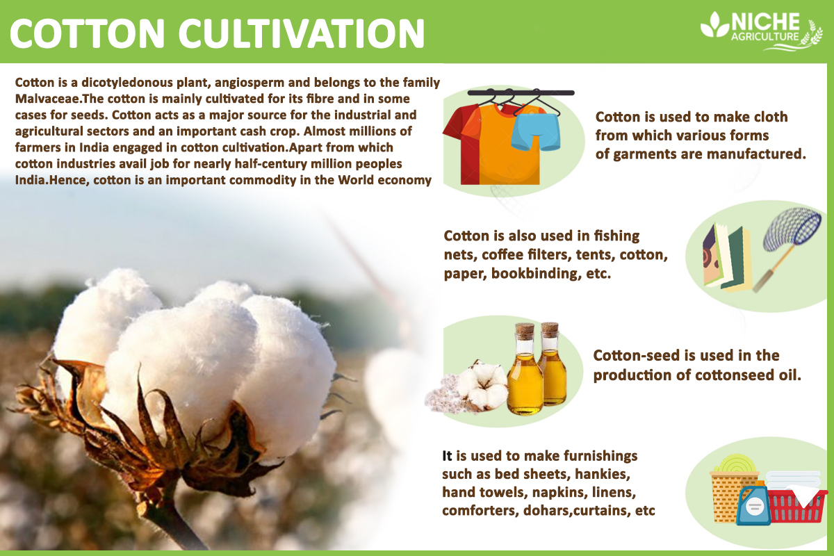 Cotton Cultivation Soil Texture and its Types