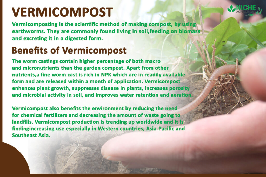 Organic fertilizing the soil Niche Agriculture