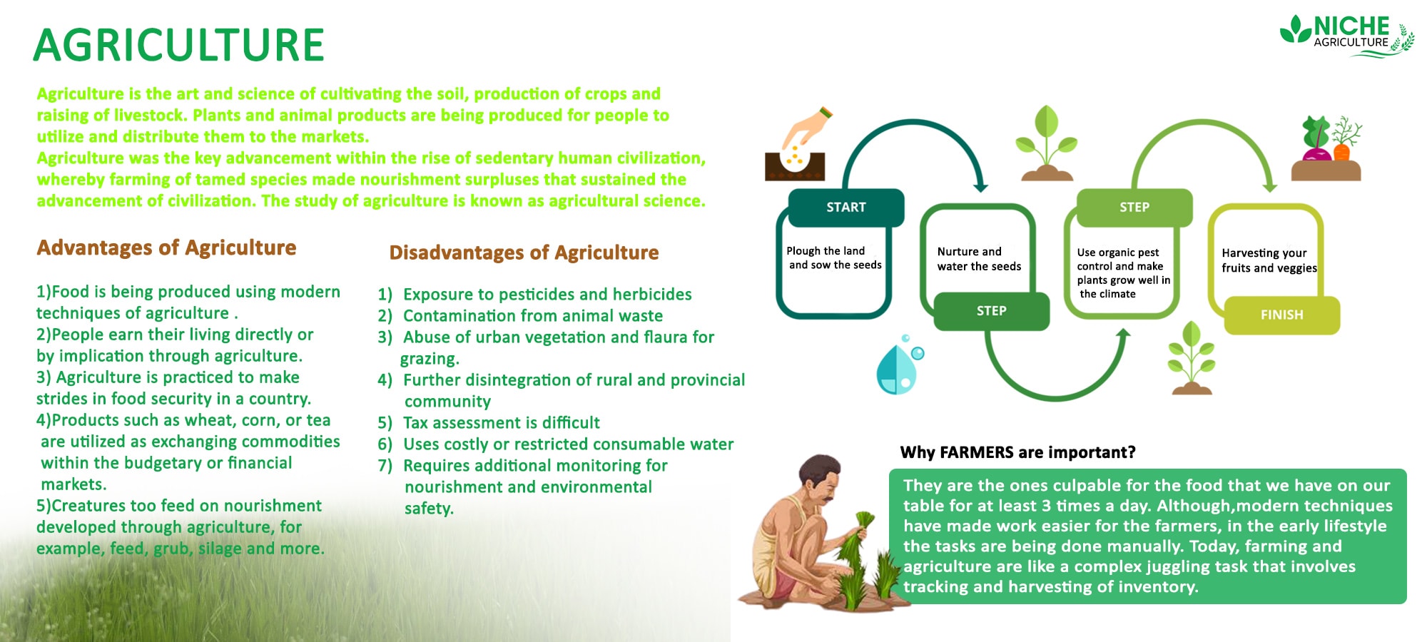 Agriculture | Definition of Agriculture | Farming - Niche Agriculture