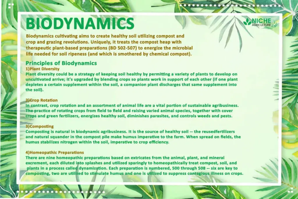 Biodynamics