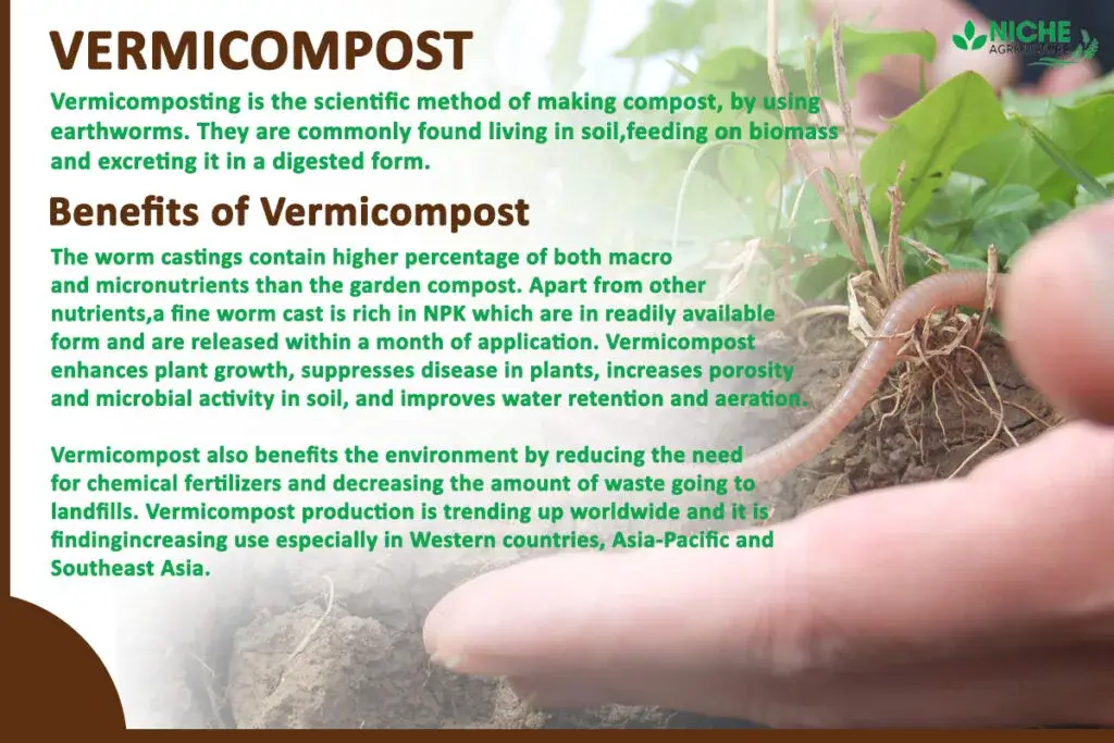 Benefits of Vermicompost