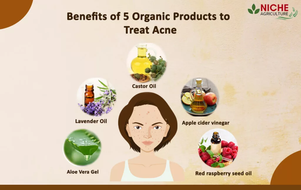 Benefits of 5 Organic Products to treat Acne