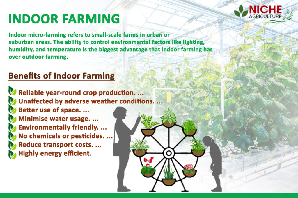 Agriculture facts in india Niche Agriculture
