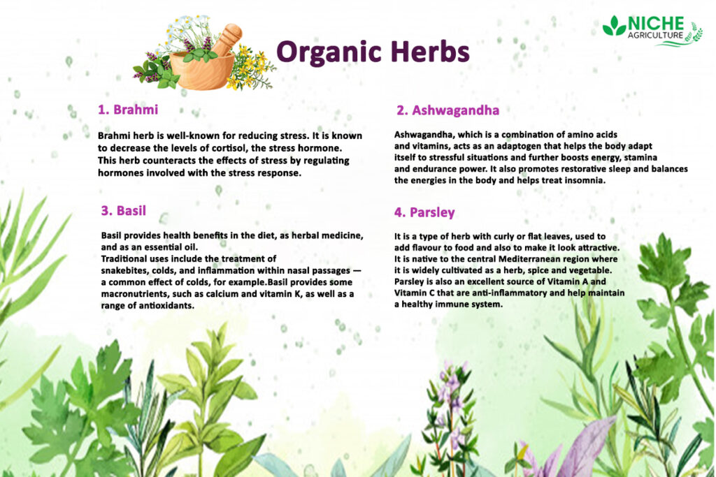 Organic Herbs I Types of Herbs I Uses and Benefits Niche Agriculture