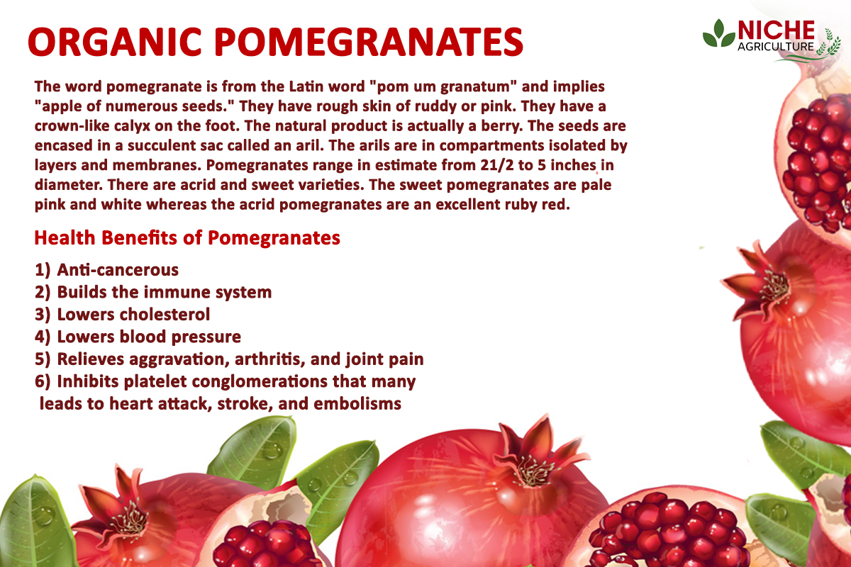 Organic Pomegranate and Their Advantages Niche Agriculture