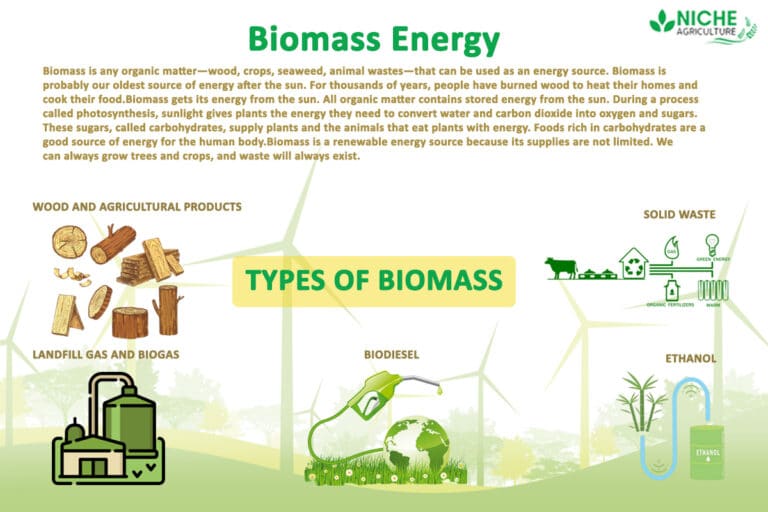 Biomass Energy Energy for Future Generation