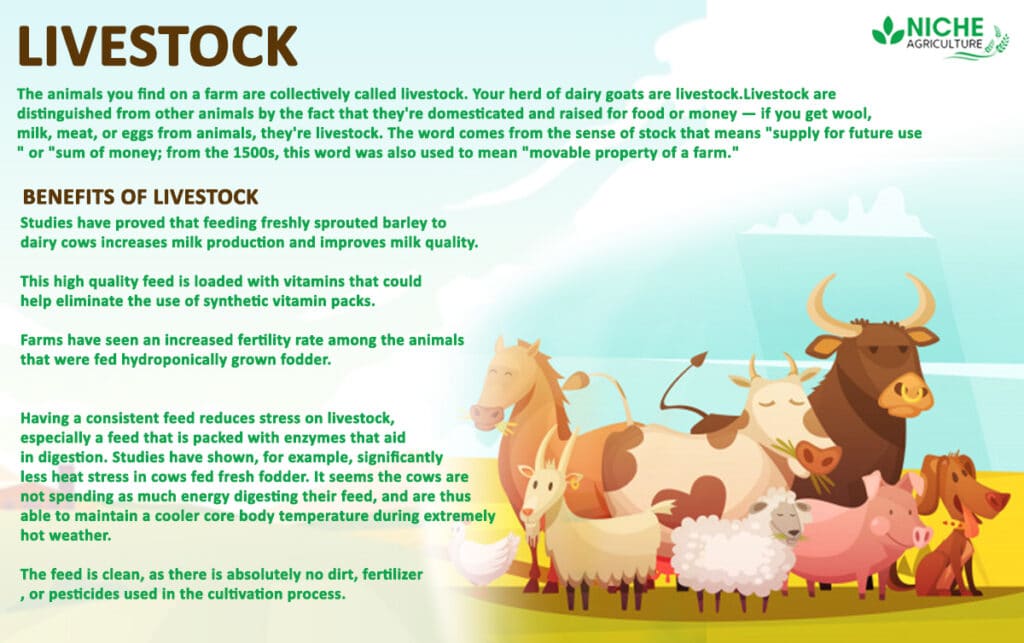 Livestock - Vital part of the Indian Economy