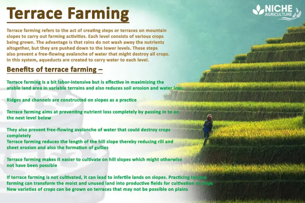 pictures of terrace farming in india