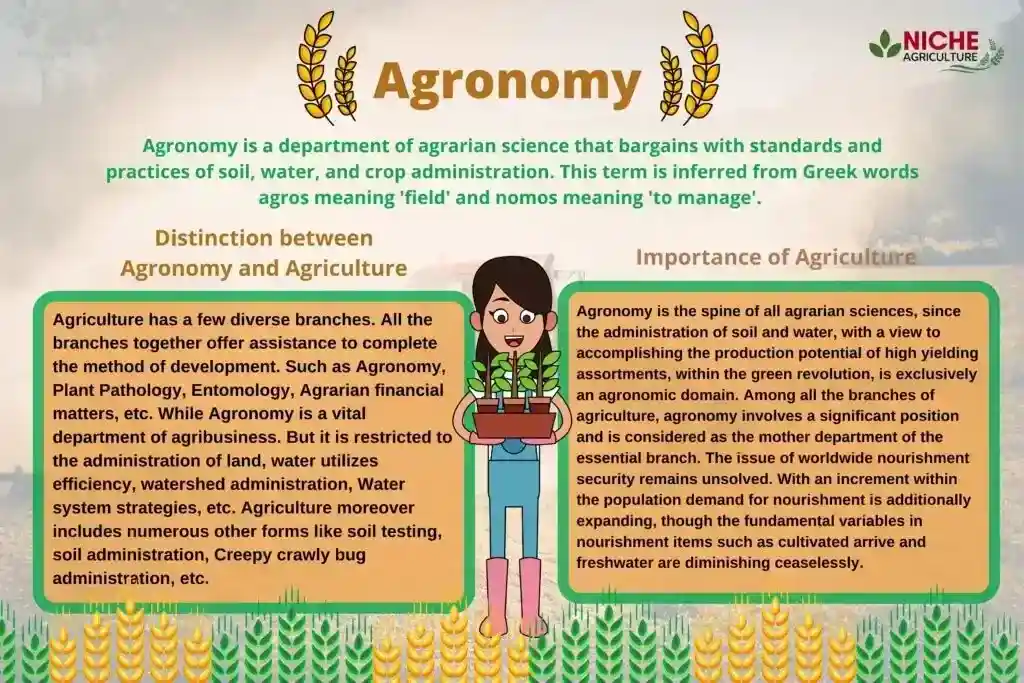 Agronomy- Branch of Agricultural Science