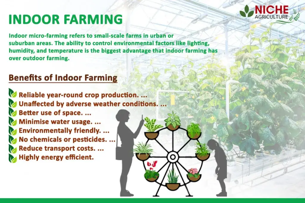 indoor-farming