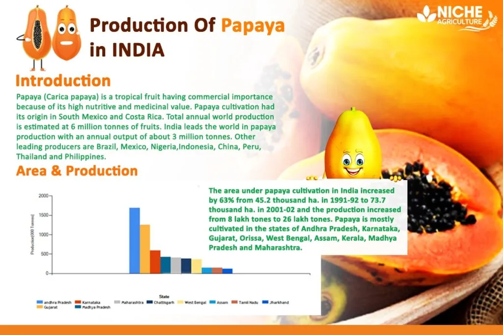 production_papaya