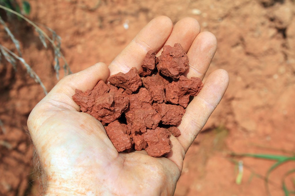 Types Of Soil In India