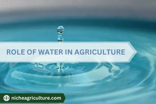 Role of water in Agriculture