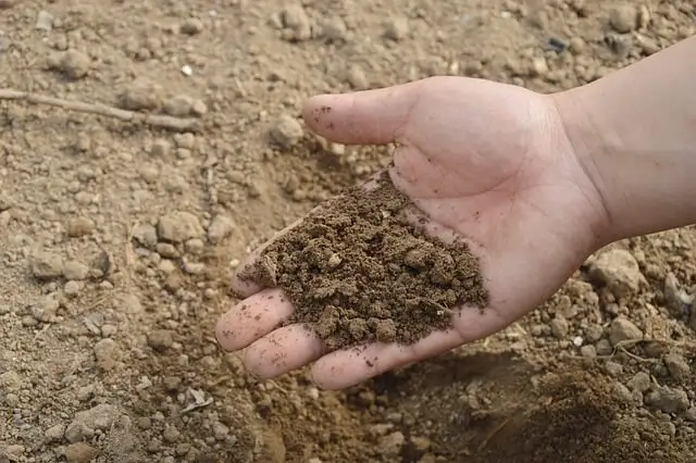 Understanding Soil Types