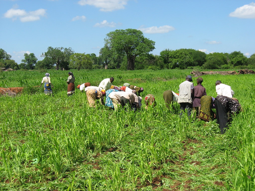Rural Development in Farming Communities