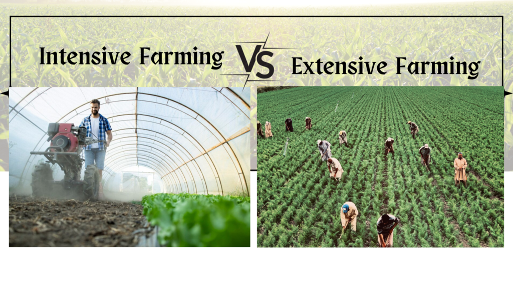 Intensive Farming and Extensive Farming